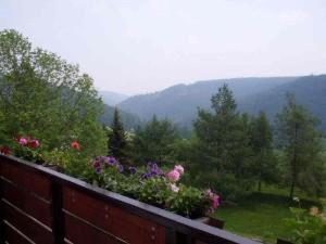Gasthaus & Pension Zum Hirsch Gehlberg Dış mekan fotoğraf